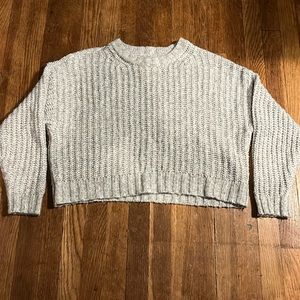 American Eagle White/Silver Sweater (cropped)